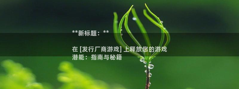 新城平台登录入口官网网址查询