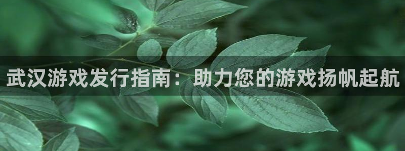 新城平台网址