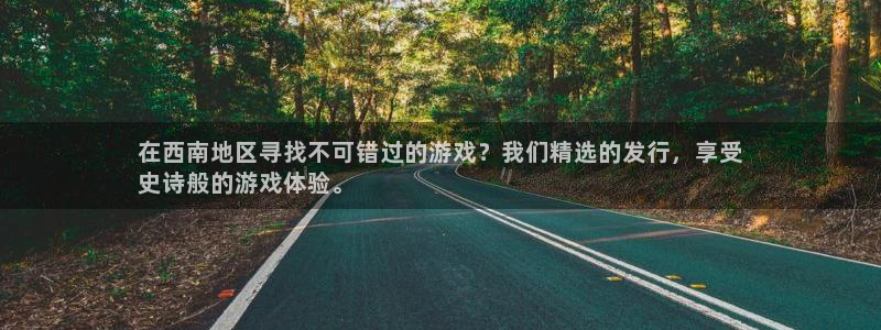 新城平台公司