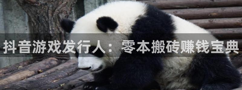 新城平台招商