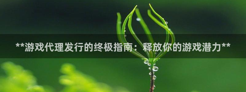 新城平台代理注册流程