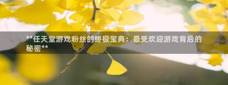 新城平台注册资金多少合适
