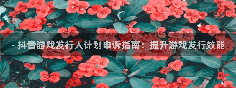 新城平台登录入口网址