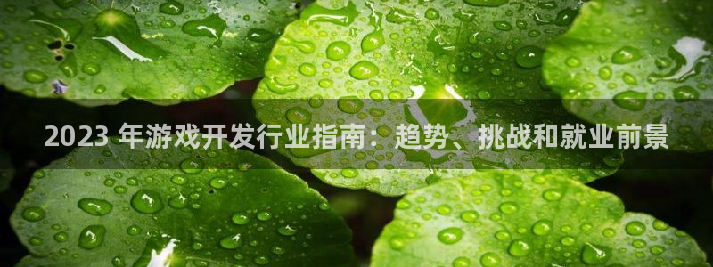 新城平台分分彩