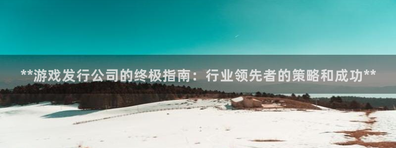 新城平台是干嘛的公司有哪些