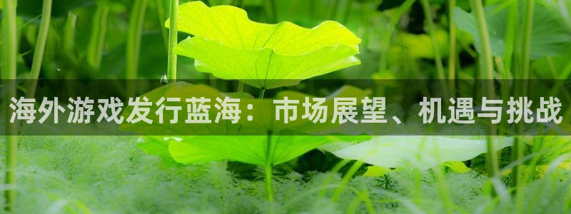 新城平台登录入口官网首页