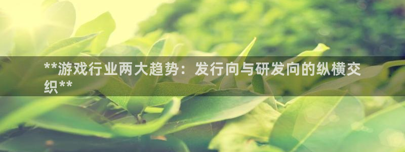 新城平台登录入口网址