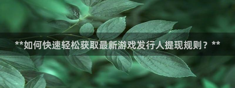 新城平台代理电话