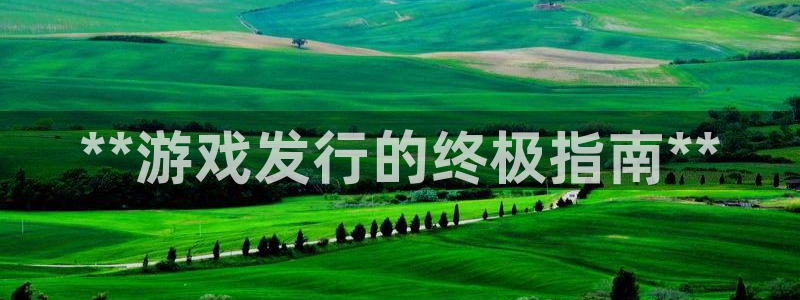 新城平台注册资金多少