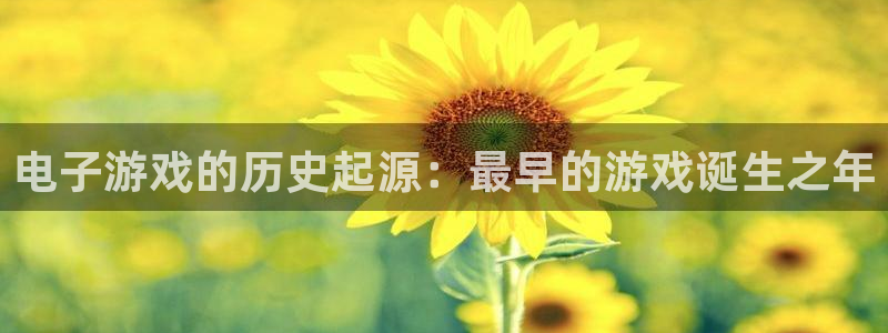新城平台是干嘛的公司