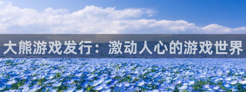 新城平台登录入口官网首页