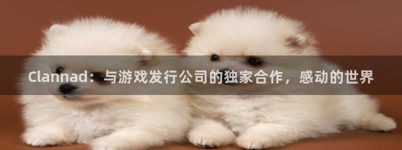 新城平台足7O777
