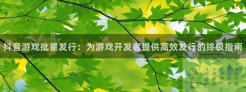 新城平台入.新城平台.全国联网是什么意思