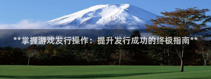 新城平台登录