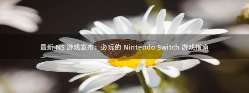 新城平台登录入口官网查询网址