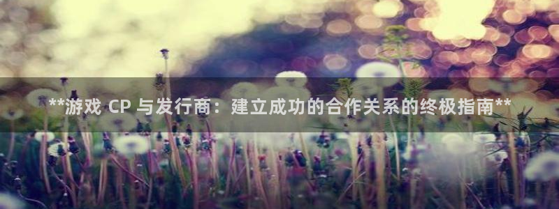 新城平台负责人