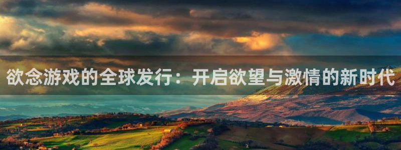 新城平台注册网址是什么