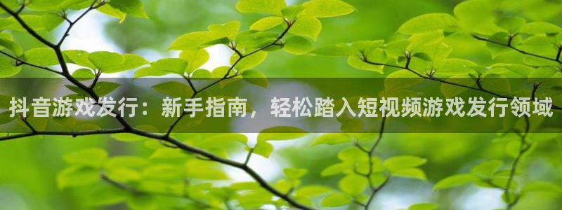 新城平台登录入口网站