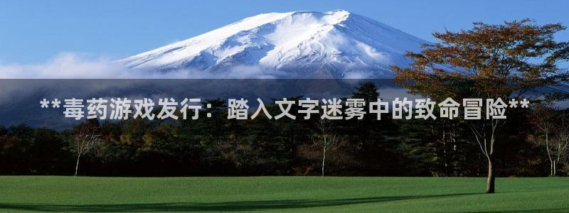 新城平台线路登录不上去怎么办呀