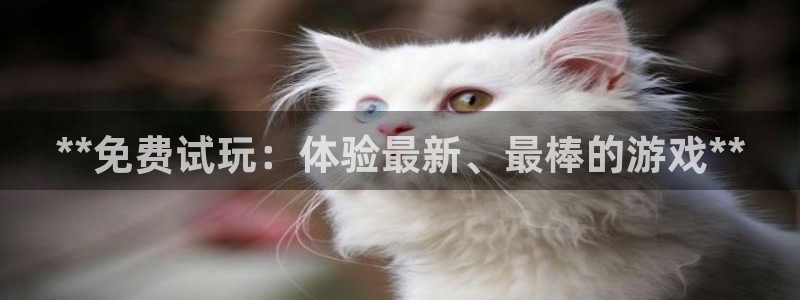 新城平台公司是国企吗