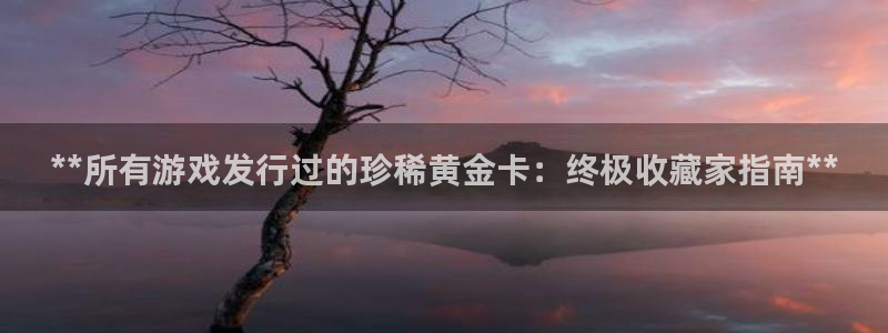 新城平台代理注册公司