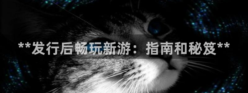 新城平台代理电话