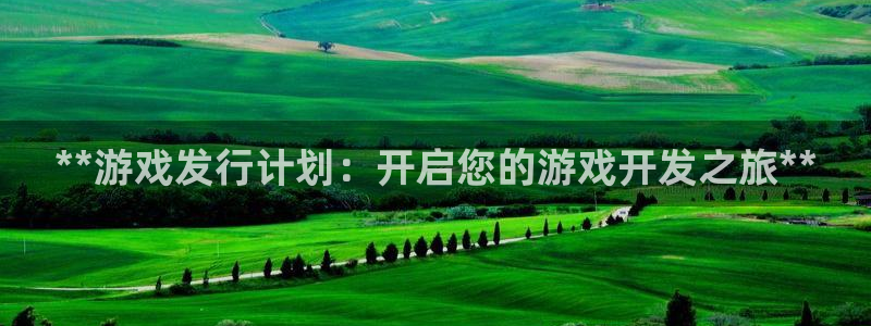 新城平台是干嘛的公司有哪些