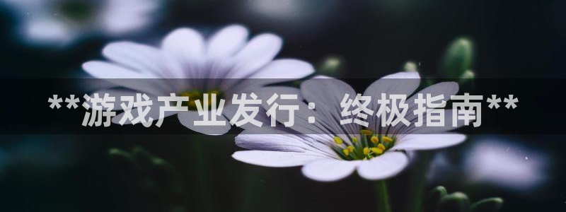 新城平台线路登录不上去了怎么办