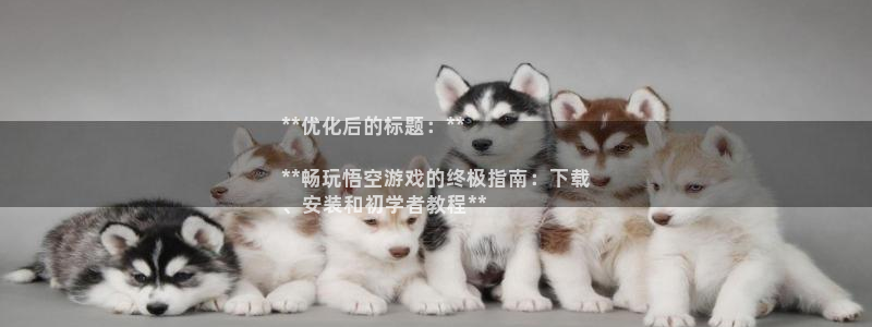 新城平台登录入口官网查询网址