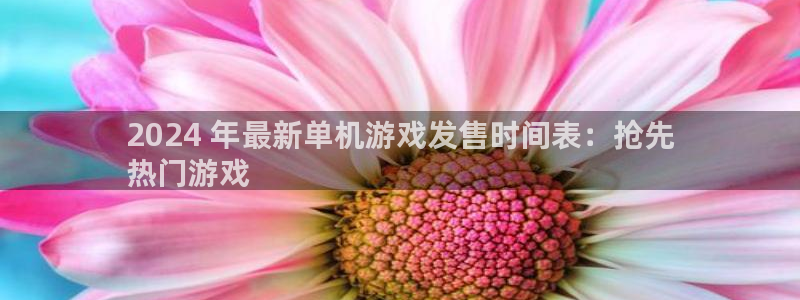 新城平台注册流程