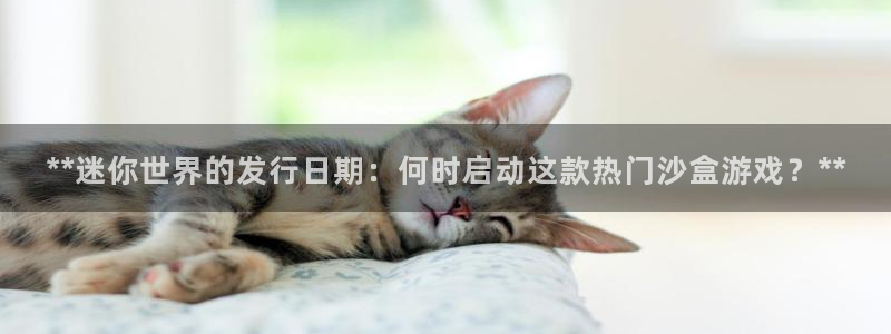 新城平台价7O777