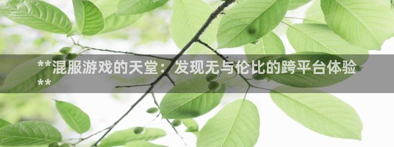 新城平台注册公司流程图：**混服游戏的天堂：发现无与伦比的跨平台体验
**