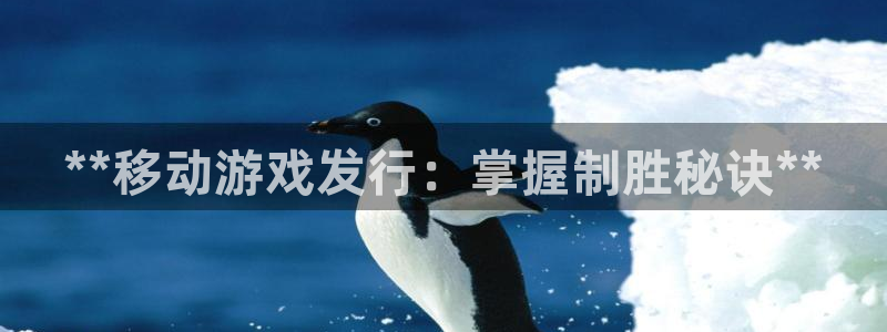 新城平台线路检测中心：**移动游戏发行：掌握制胜秘诀**