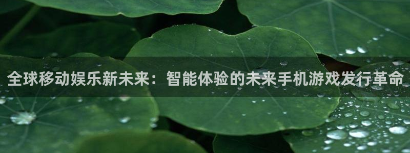 新城平台登录入口官网下载安装