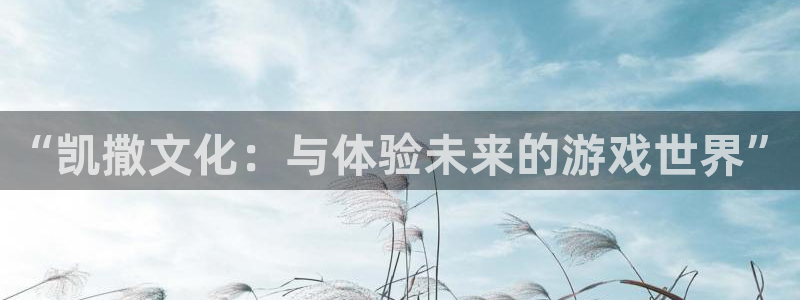 新城平台使7O777