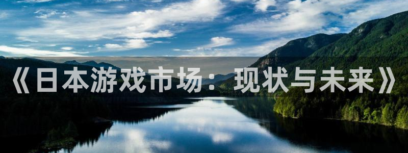 新城平台登陆