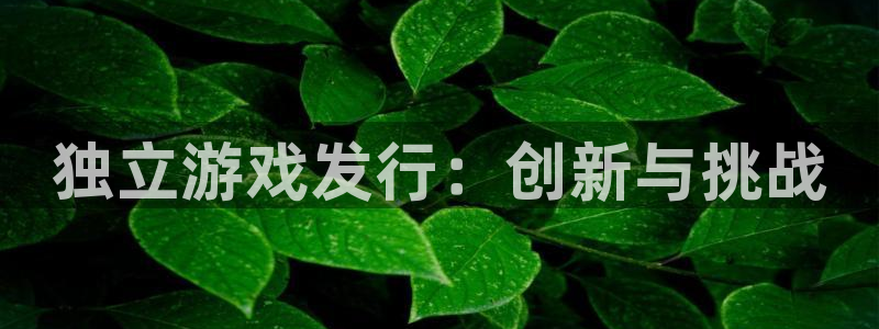 新城平台登录入口官网首页