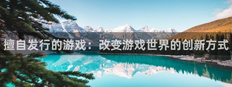 新城平台注册公司流程视频