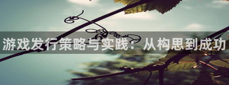 新城平台代理注册流程