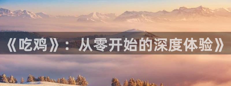 新城平台是干嘛的公司