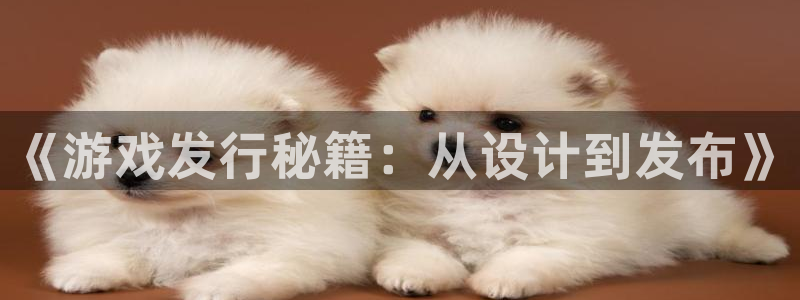 新城平台登录入口官网首页查询