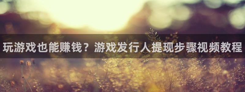 新城平台登录密码忘了：玩游戏也能赚钱？游戏发行人提现步骤视频教程