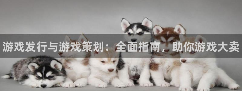 新城平台终7O777：游戏发行与游戏策划：全面指南，助你游戏大卖