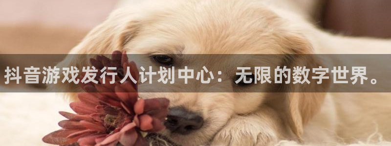 新城平台平台最新活动：抖音游戏发行人计划中心：无限的数字世界。