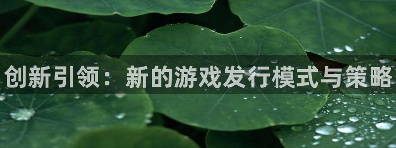 新城平台平台最新活动