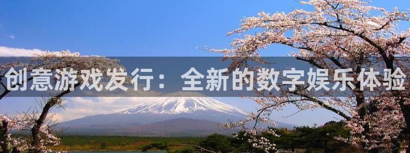 新城平台入.新城平台.全国联网是什么意思：创意游戏发行：全新的数字娱乐体验