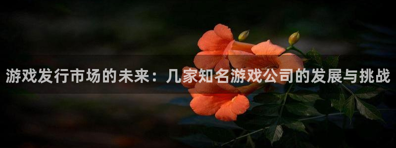 新城平台授权注册：游戏发行市场的未来：几家知名游戏公司的发展与挑战