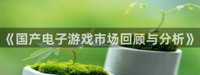 新城平台登录入口网址：《国产电子游戏市场回顾与分析》