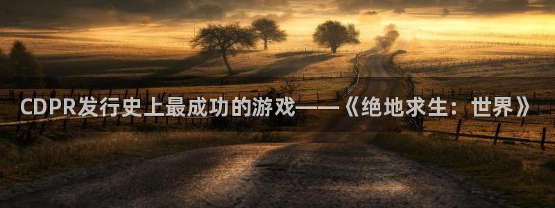 新城平台线路登录不上去怎么回事：CDPR发行史上最成功的游戏——《绝地求生：世界》