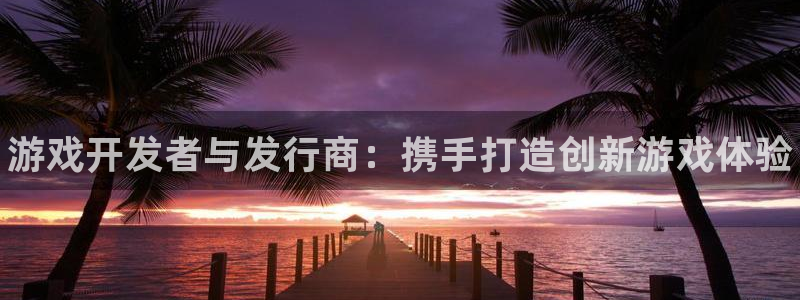新城平台登录入口官网查询：游戏开发者与发行商：携手打造创新游戏体验
